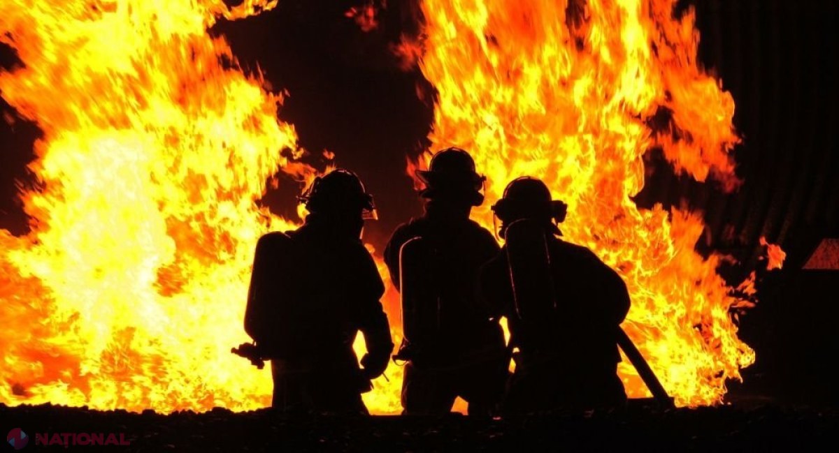 Cine s-ar afla în spatele INCENDIILOR devastatoare din Australia. S-au făcut sute de arestări
