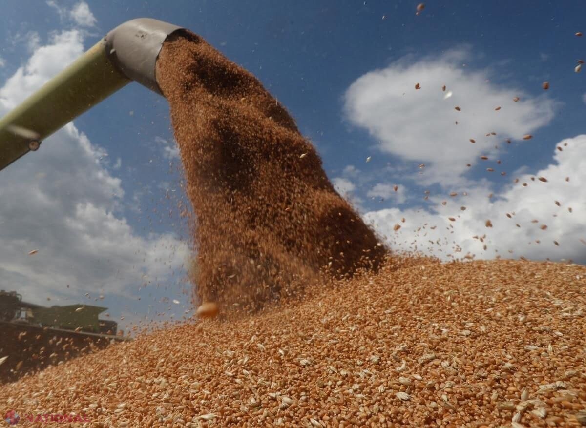 Stocurile de cereale ale Chinei, mai mari decât cele ale restului lumii. A știut Xi Jinping cu mult dinainte ce va face Putin și a prevăzut consecințele asupra pieței alimentare mondiale? Cum va folosi „comoara” pe care stă?