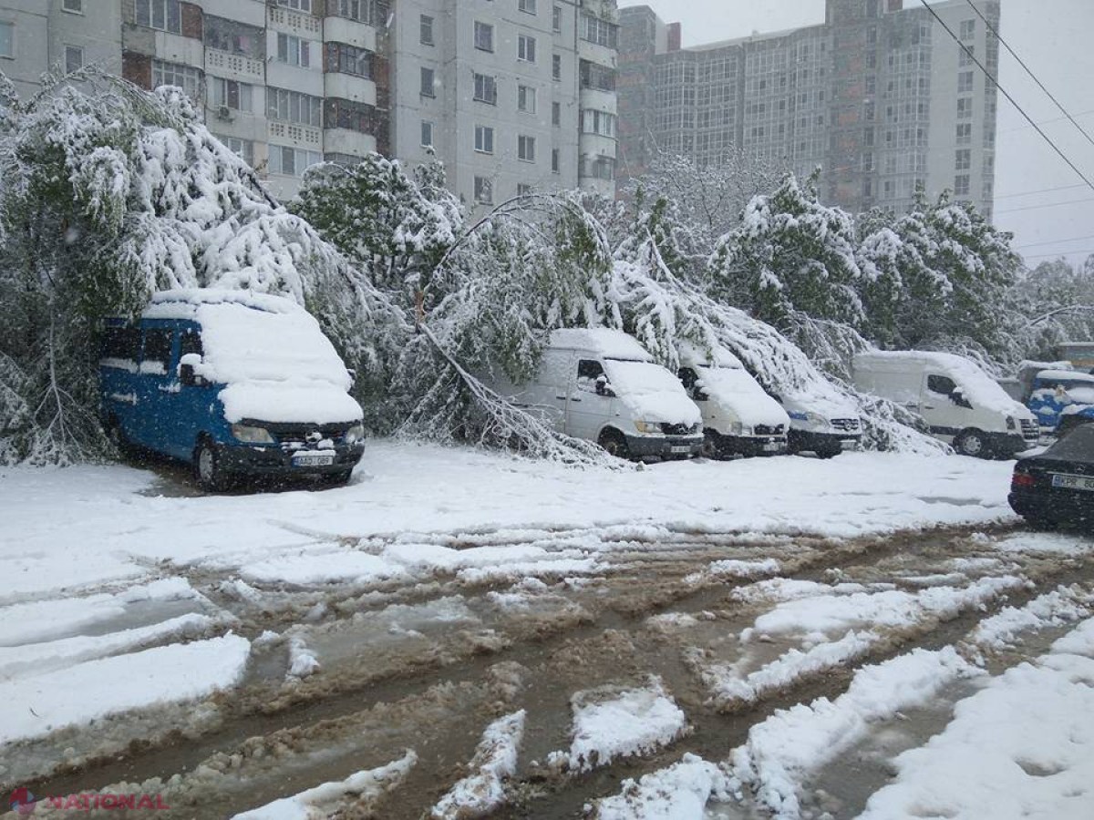 FOTO // Ultimul BILANȚ al dezastrului provocat de copacii doborâți de ninsoare în Chișinău