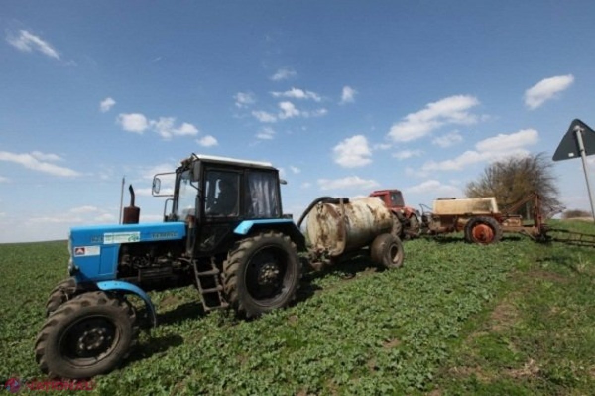 VIDEO // Pământul din R. Moldova, VÂNDUT străinilor: Am cedat deja echivalentul a PATRU raioane