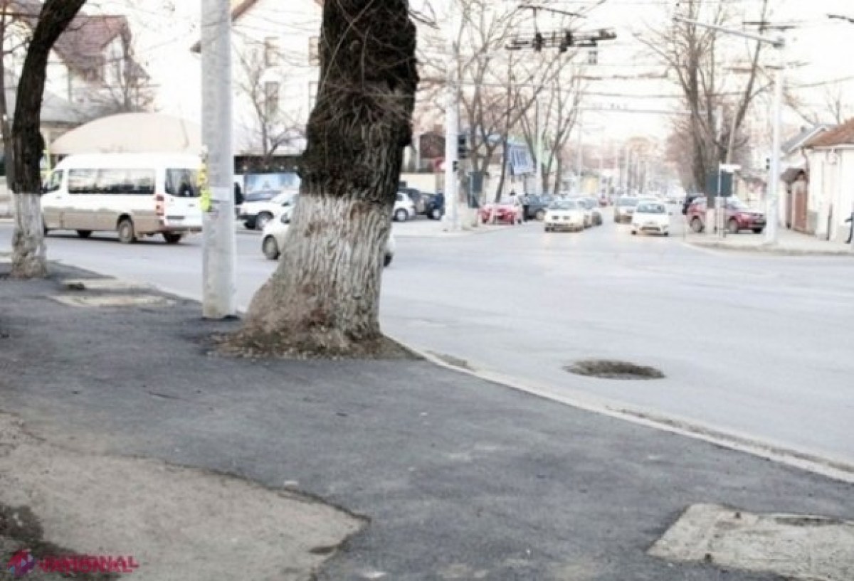 METEO // Temperaturi de PLUS 10 grade Celsius în dricul IERNII: Niciun fulg de nea în zilele următoare