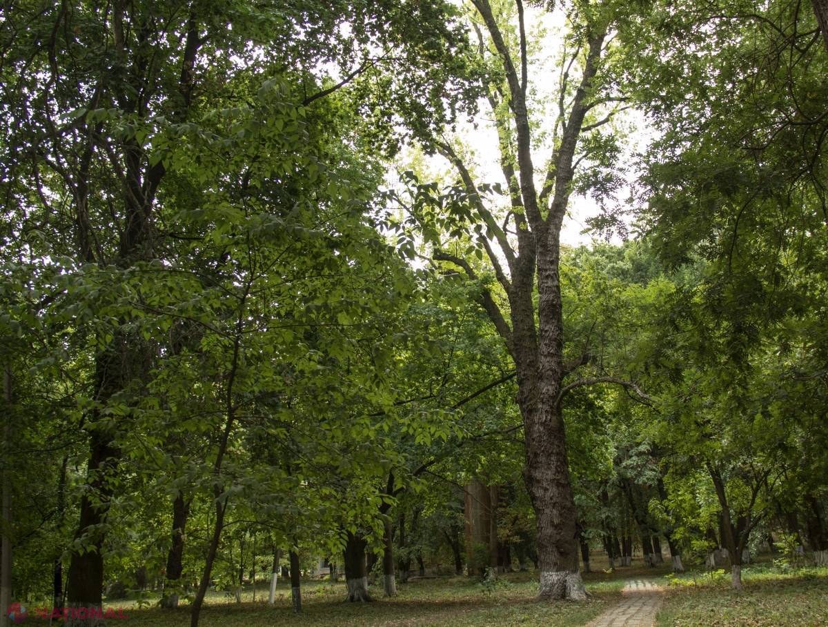 METEO // Norii se mențin și în acest week-end. Cum va fi vremea la începutul lunii septembrie