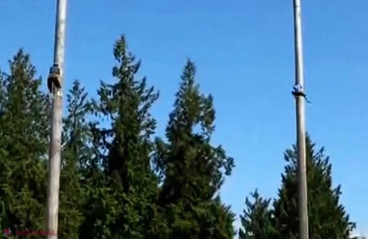 VIDEO nebun // Iată cât sunt de pricepuți unii oameni!