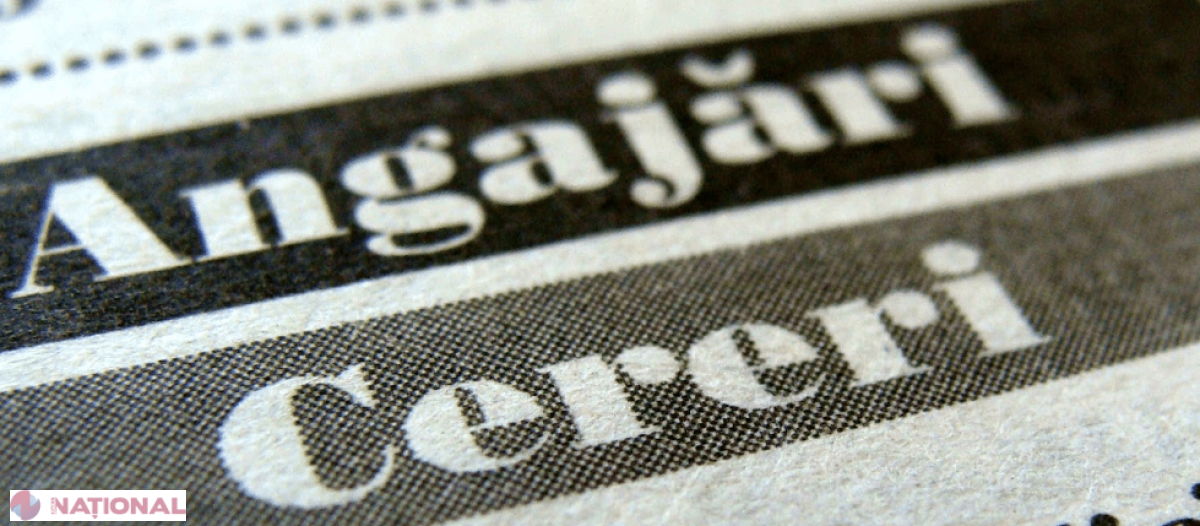 Salarii lunare între 7 000 și 30 000 de lei: LISTA a 100 cel mai BINE plătite locuri de muncă vacante din R. Moldova