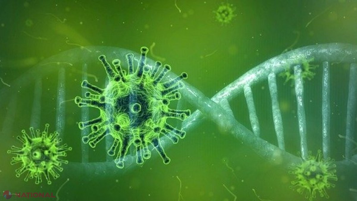 Descoperire importantă făcută de medicii români, în lupta anti-COVID-19. Ce determină severitatea bolii