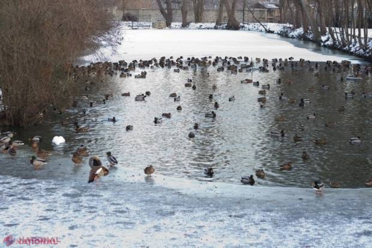 METEO // Temperaturi între minus 15 și plus patru grade Celsius în această săptămână