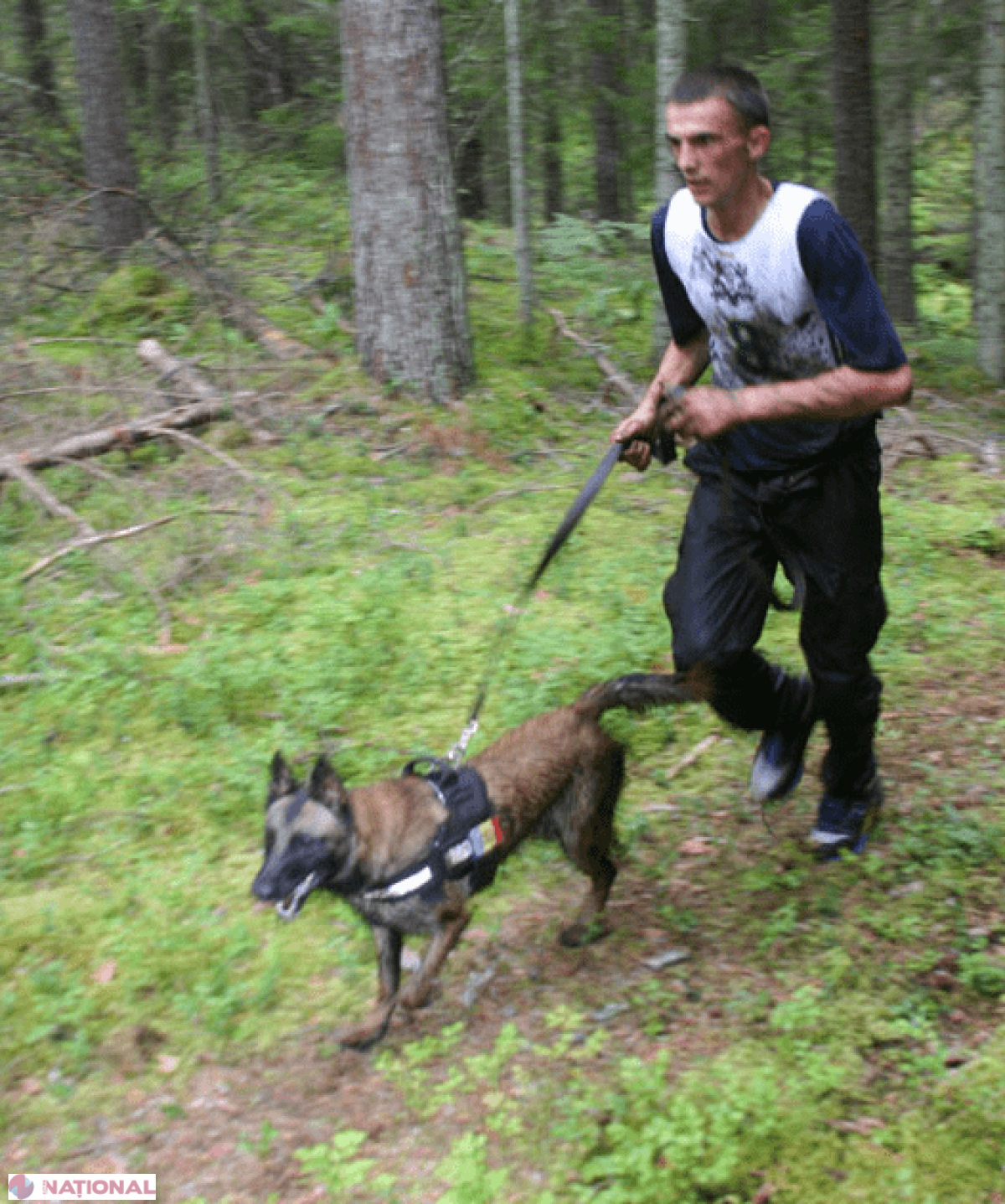 Câinii Poliției de Frontieră, pe locul trei la un CONCURS internațional