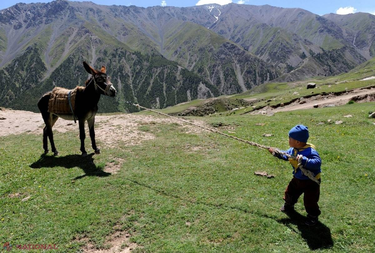În situații de urgență, rușii vor fi salvați de măgari, cămile sau reni