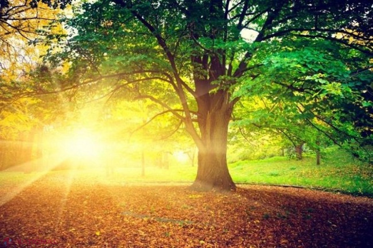 RECORD CLIMATERIC în R. Moldova pe parcursul anului 2019: Așa ceva n-a fost niciodată în ultimii 125 de ani