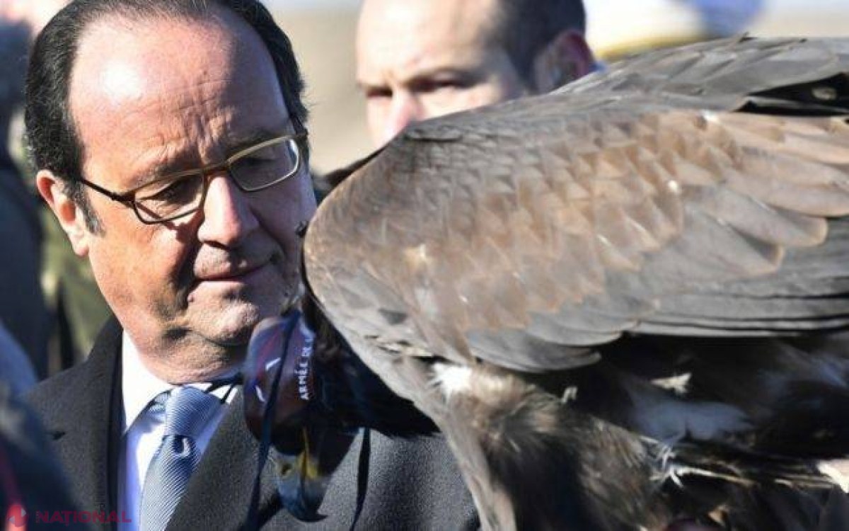 VIDEO // Cum acţionează vulturul care VÂNEAZĂ drone pentru armata franceză