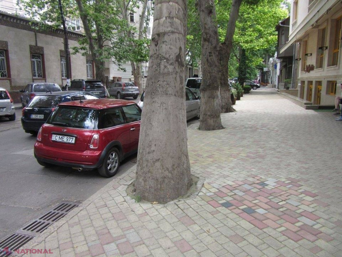INTERZIS // NU văruiți copacii din Chișinău!