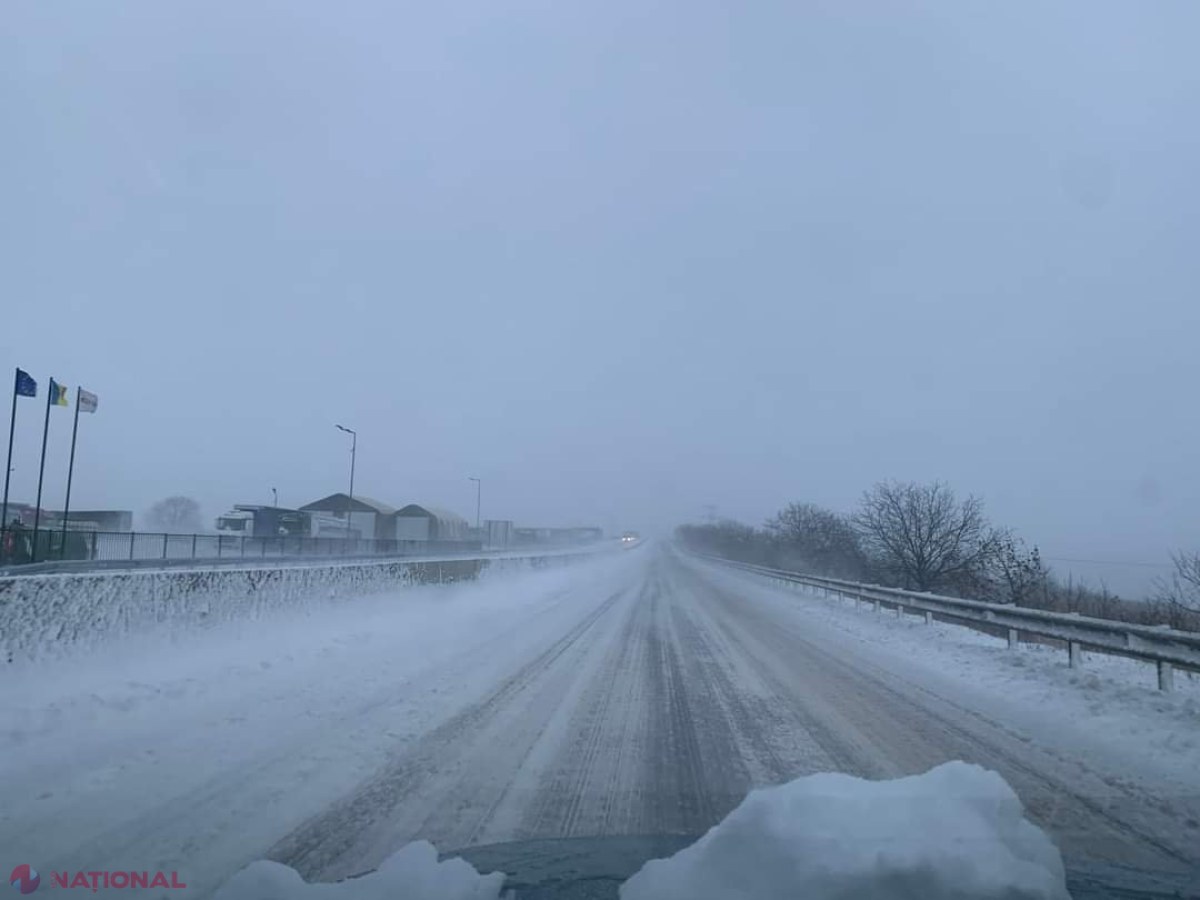 METEO // Codul galben de VÂNT puternic se menţine şi luni: Nu parcaţi maşinile sub copaci 