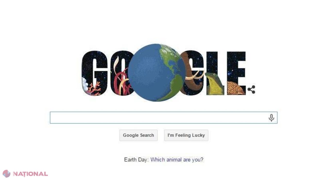 TEST de Ziua Pământului, Google îți spune ce tip de ANIMAL ești