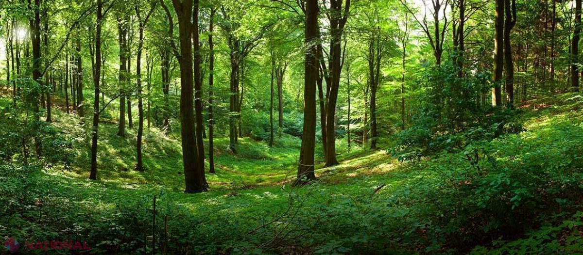 Decizie IMPORTANTĂ în Albania. Acest lucru va fi INTERZIS pentru zece ani