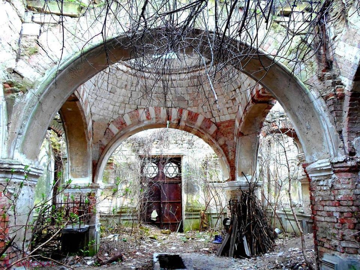FOTO // Starea DEPLORABILĂ în care se află cimitirul UNIC din capitală
