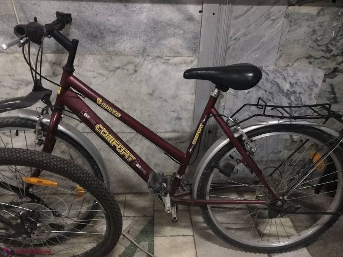 VIDEO // A fost prins insul care FURA bicicletele din Stăuceni