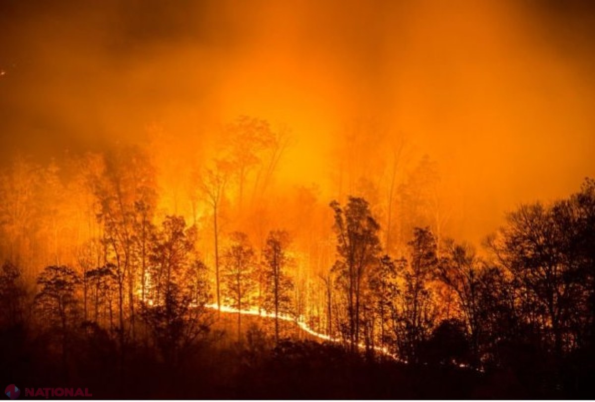Incendii de PROPORȚII: În 10 ani, Rusia ar putea să NU mai poată exploata forestier Siberia