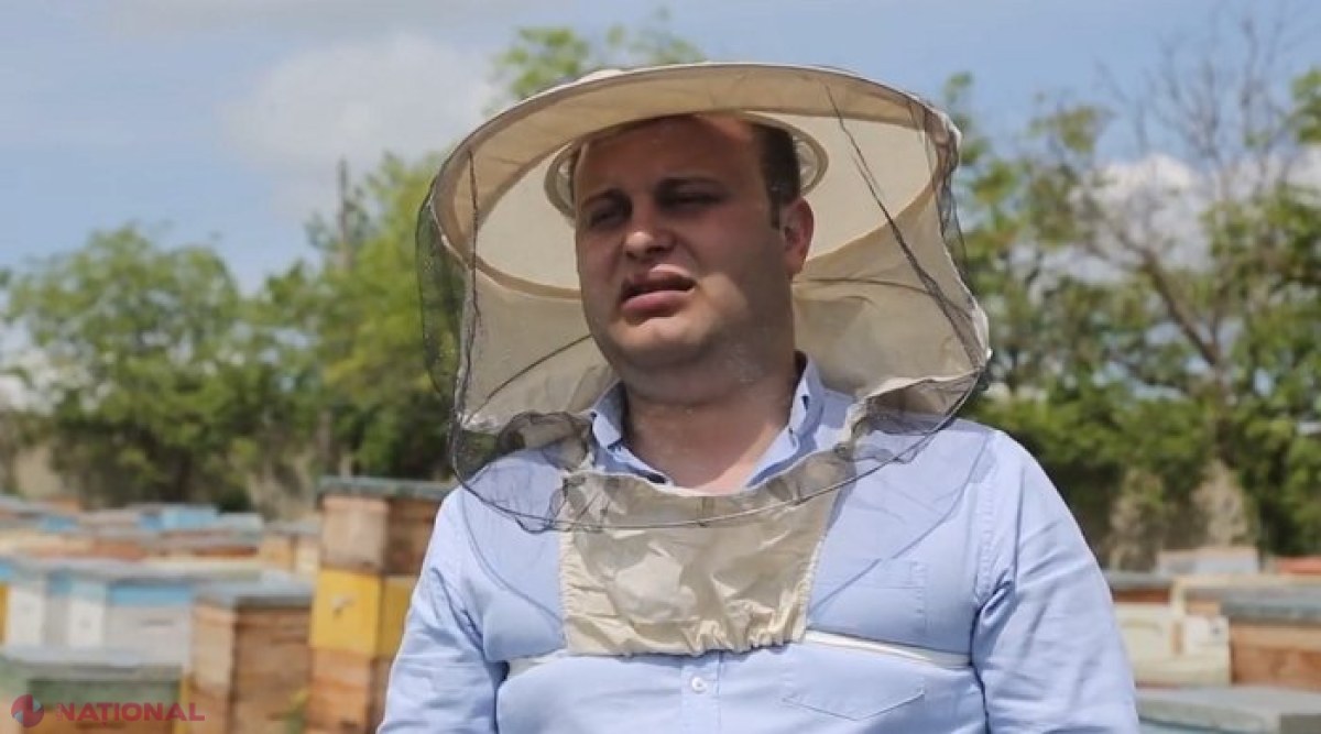 VIDEO SUCCES // Viața poate fi „DULCE” și în R. Moldova: Apicultorul care a exportat 500 de tone de MIERE pe piața UE în 2017