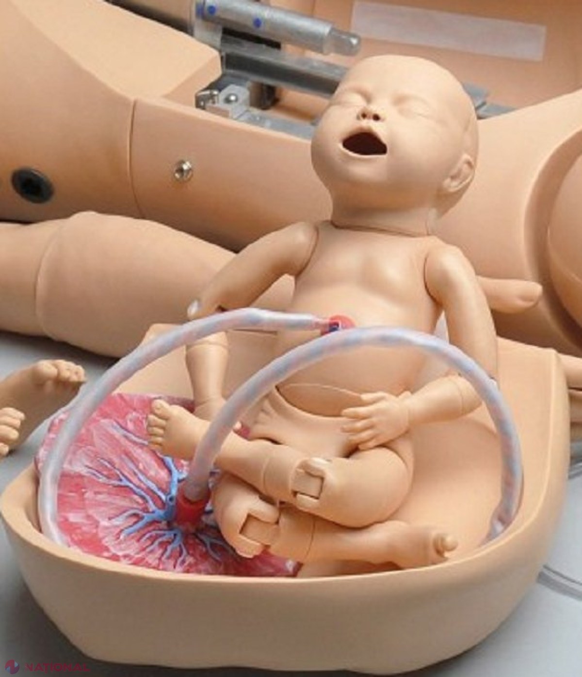 PREMIERĂ // Manechine care pot simula NAȘTERILE, donate de UNFPA instituțiilor de învățământ medical din R. Moldova
