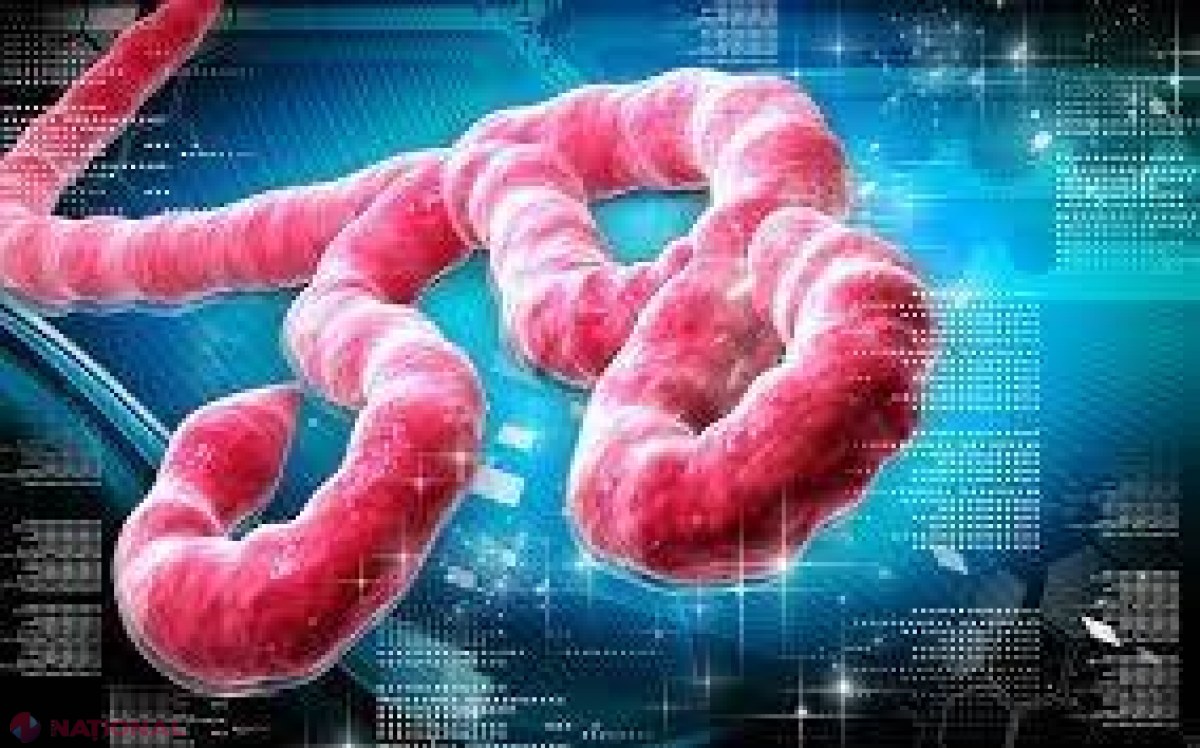 MĂSURI // În cazul apariţiei vreunui caz de EBOLA în R. Moldova, probele vor fi trimise pentru ANALIZĂ în Franţa