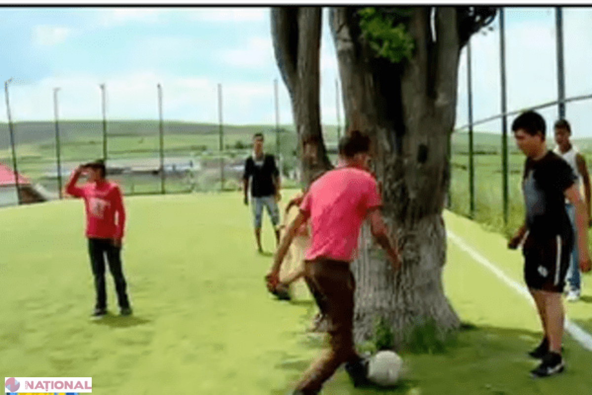 Cele șapte MINUNI ale primarilor: Un stejar în mijlocul terenului de fotbal, pistă de biciclete care trece prin bar...