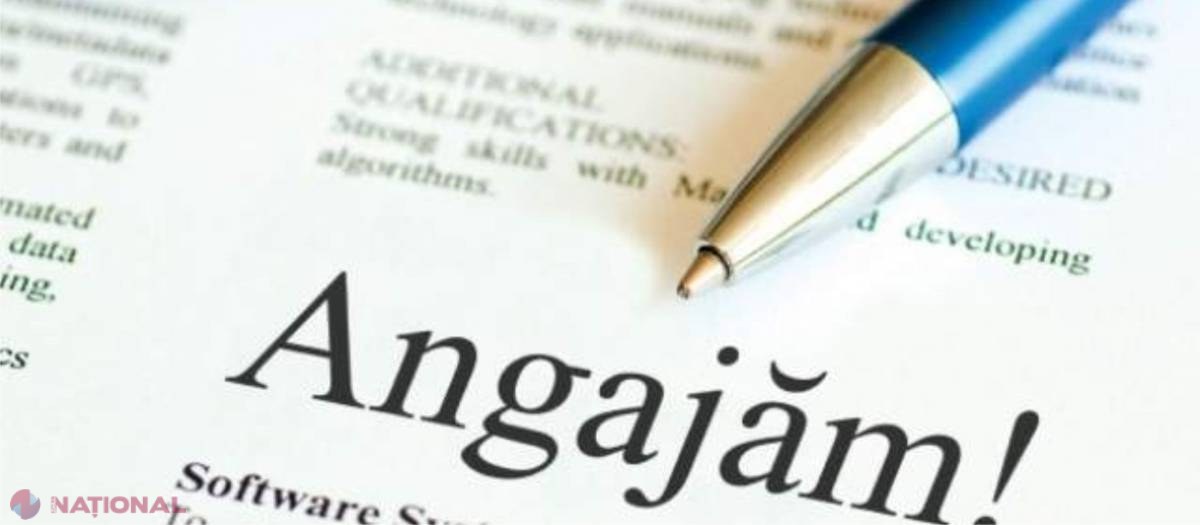 OFERTĂ // Mii de locuri de muncă vacante în toate raioanele