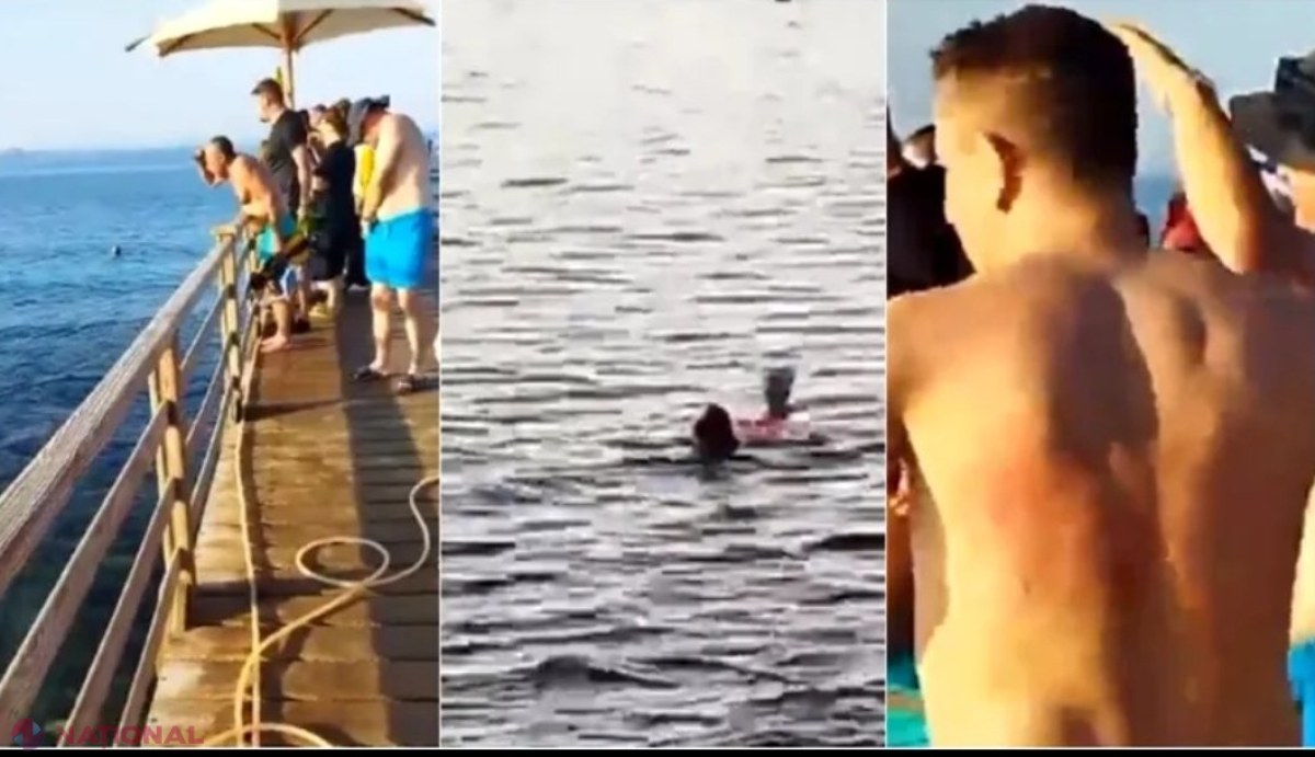 VIDEO // Imagini TERIFIANTE la Hurgada, unde preferă să meargă la mare mulți MOLDOVENI. O femeie a murit după ce a fost atacată de rechin. Reușise să ajungă la mal, dar nu a putut fi salvată
