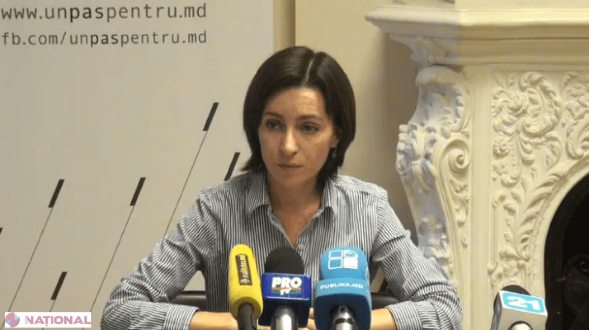 ACUZAȚIE // PD continuă să colecteze semnături? „Știm că PD și-a lansat în campanie mai mulți candidați”