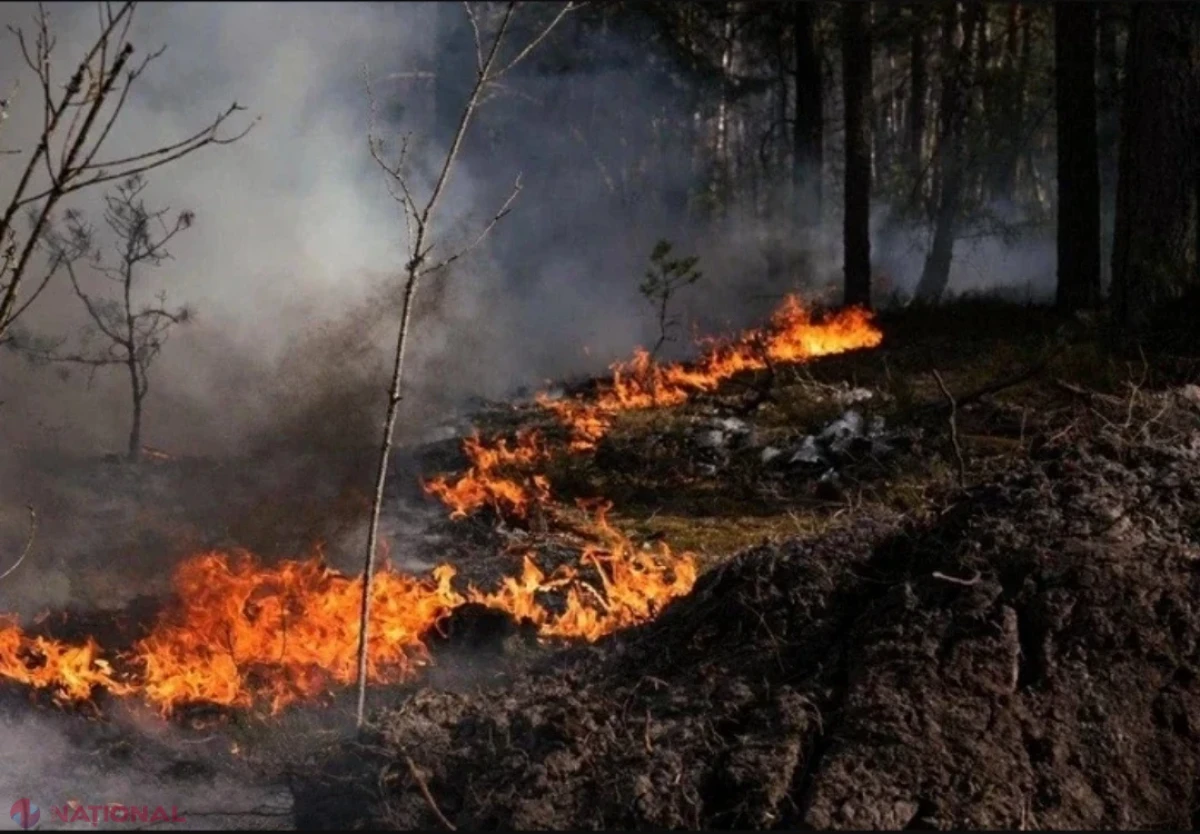 ULTIMA ORĂ // Explozie puternică la marginea satului Crocmaz. O dronă de luptă s-a prăbușit și a provocat un incendiu