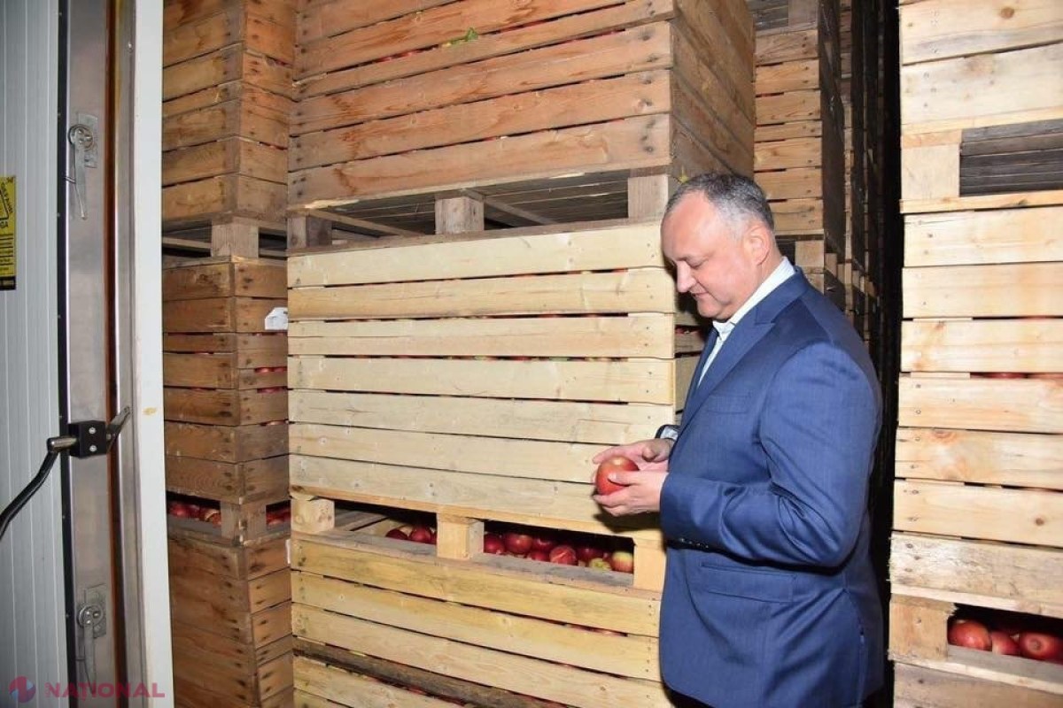 OPINIE // „Beneficiile” obținute de către Dodon de la Putin par a fi o „tentativă de CORUPERE (geo)politică și de creditare a unui concurent politic la alegeri”