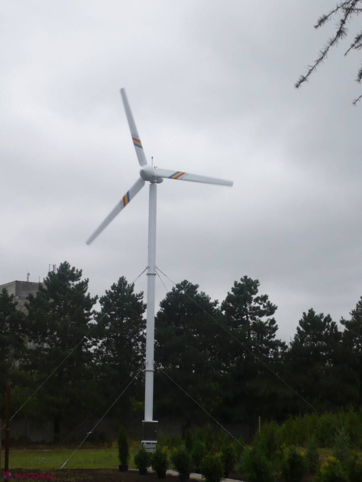 Turbină eoliană în Grădina Botanică!