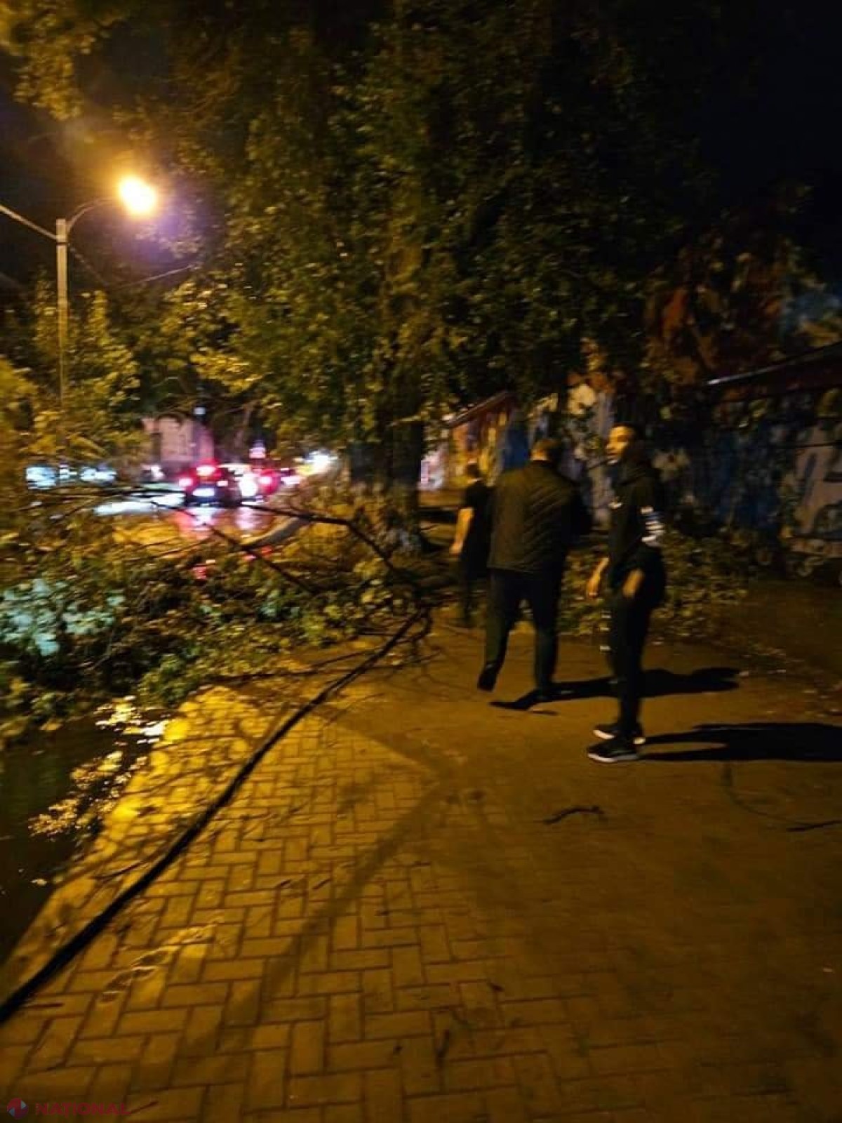 GALERIE FOTO // Furtuna de noaptea trecută a făcut ravagii în Chișinău - mai mulți copaci au fost rupți sau SMULȘI din rădăcină, mașini avariate, garduri doborâte și fire electrice căzute la pământ