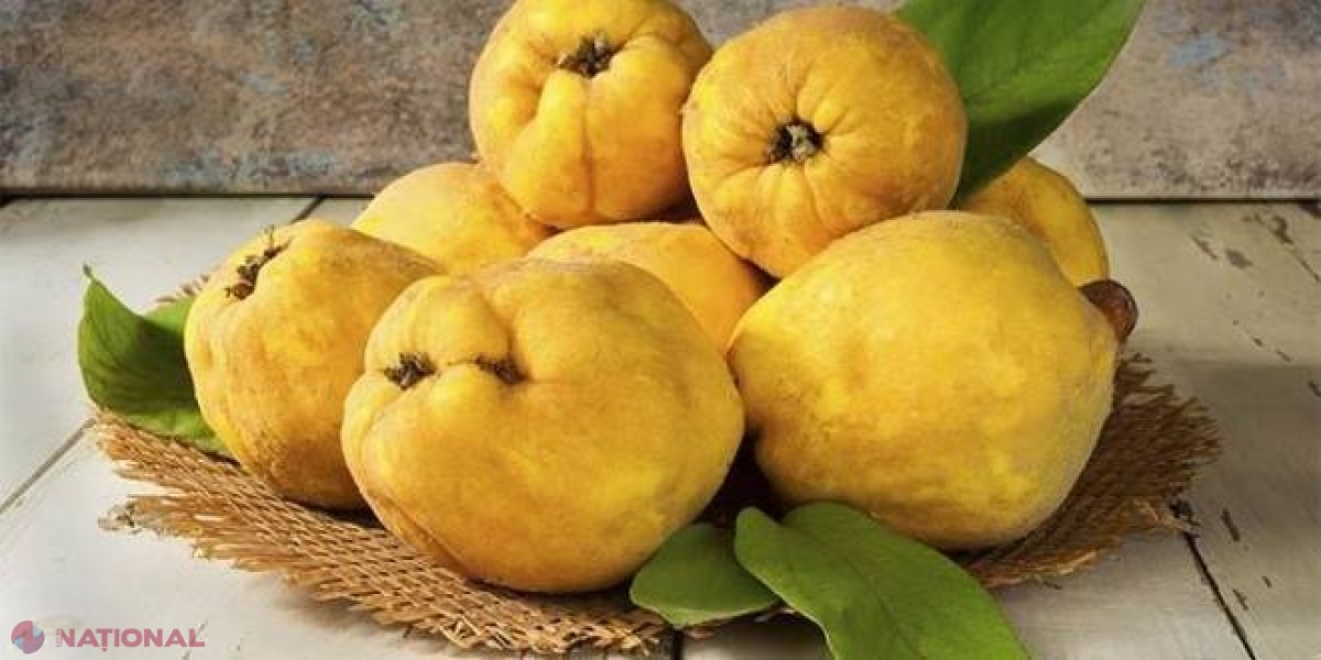 Delicioase BUCATE din gutui la un NOU festival autumnal în R. Moldova
