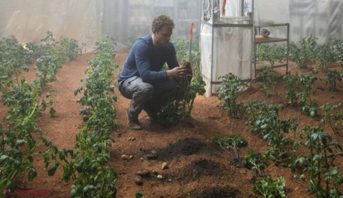 Agricultură în spaţiu. Solul de pe Marte şi de pe Lună este FERTIL
