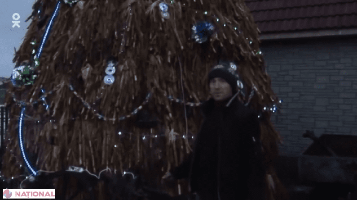 VIDEOUL ZILEI // Cel mai ORIGINAL brad din R. Moldova