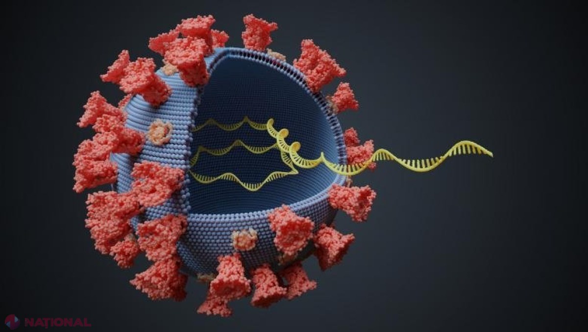 Mutația D614G a coronavirusului, prezentă și în Europa, este de 10 ori mai infecțioasă. Care este vestea bună