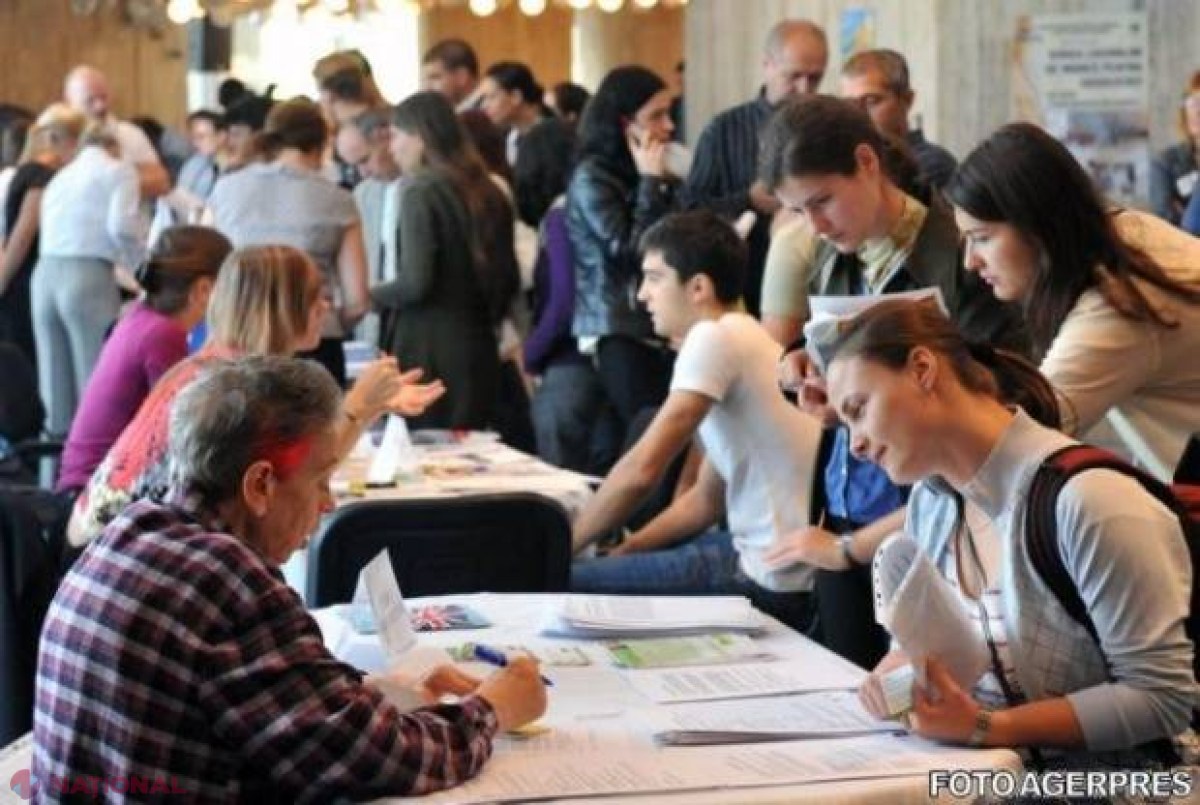 OPORTUNITATE pentru cetățenii R. Moldova! Locuri de muncă peste PRUT: Se achită transportul, chiria și asigurarea medicală