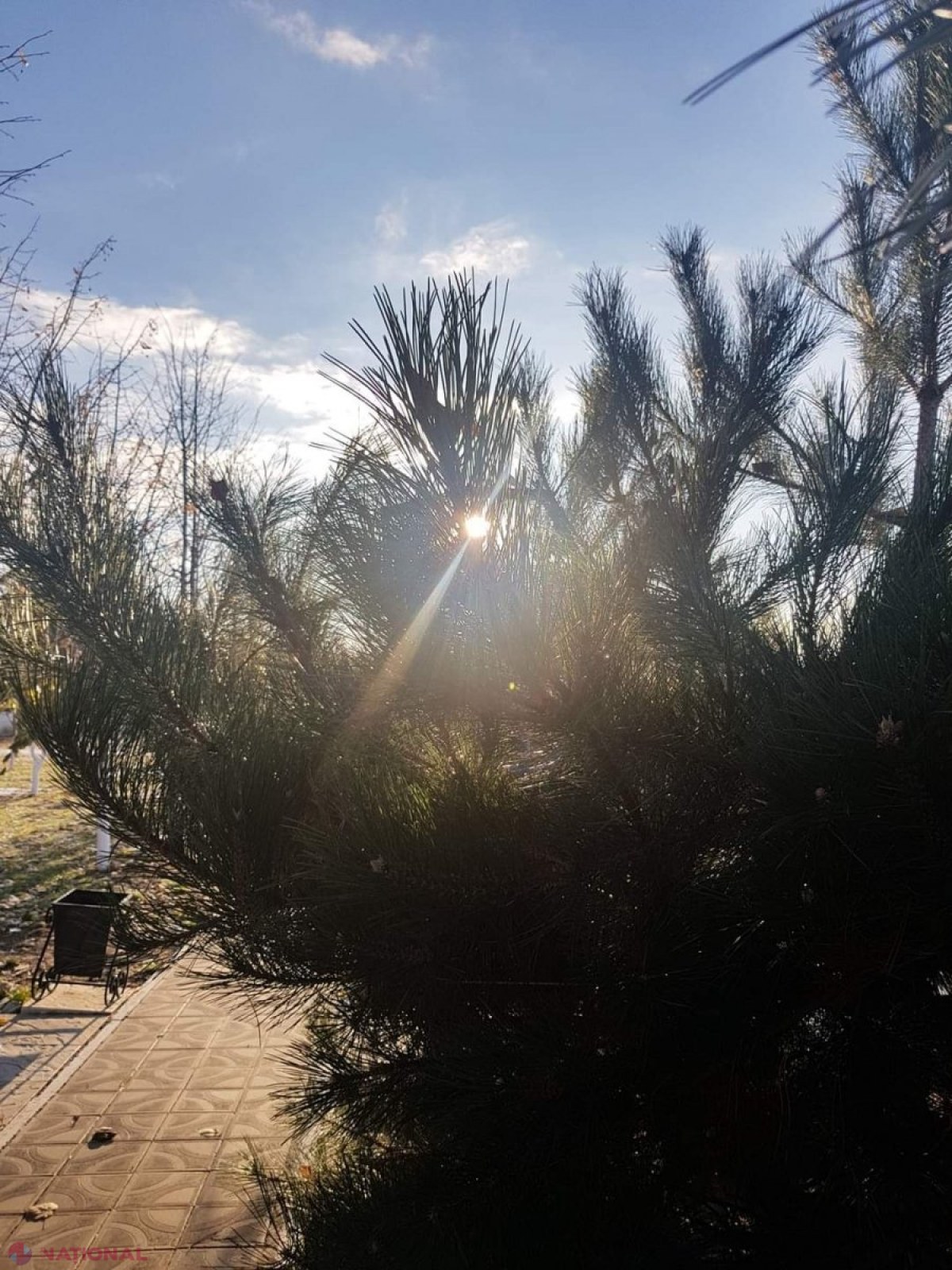 METEO // Ninsori, ploi și maxime de până la plus 15 grade Celsius, de Crăciunul pe stil nou