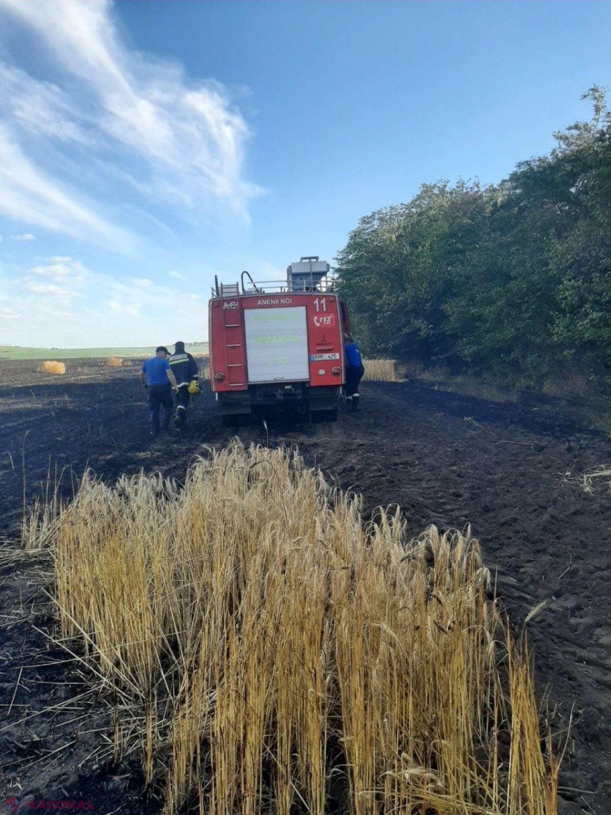 INCENDIU // ZECI de hectare cu grâu și orz, nimicite în raionul Anenii Noi: Lupta cu flăcările a durat peste cinci ore
