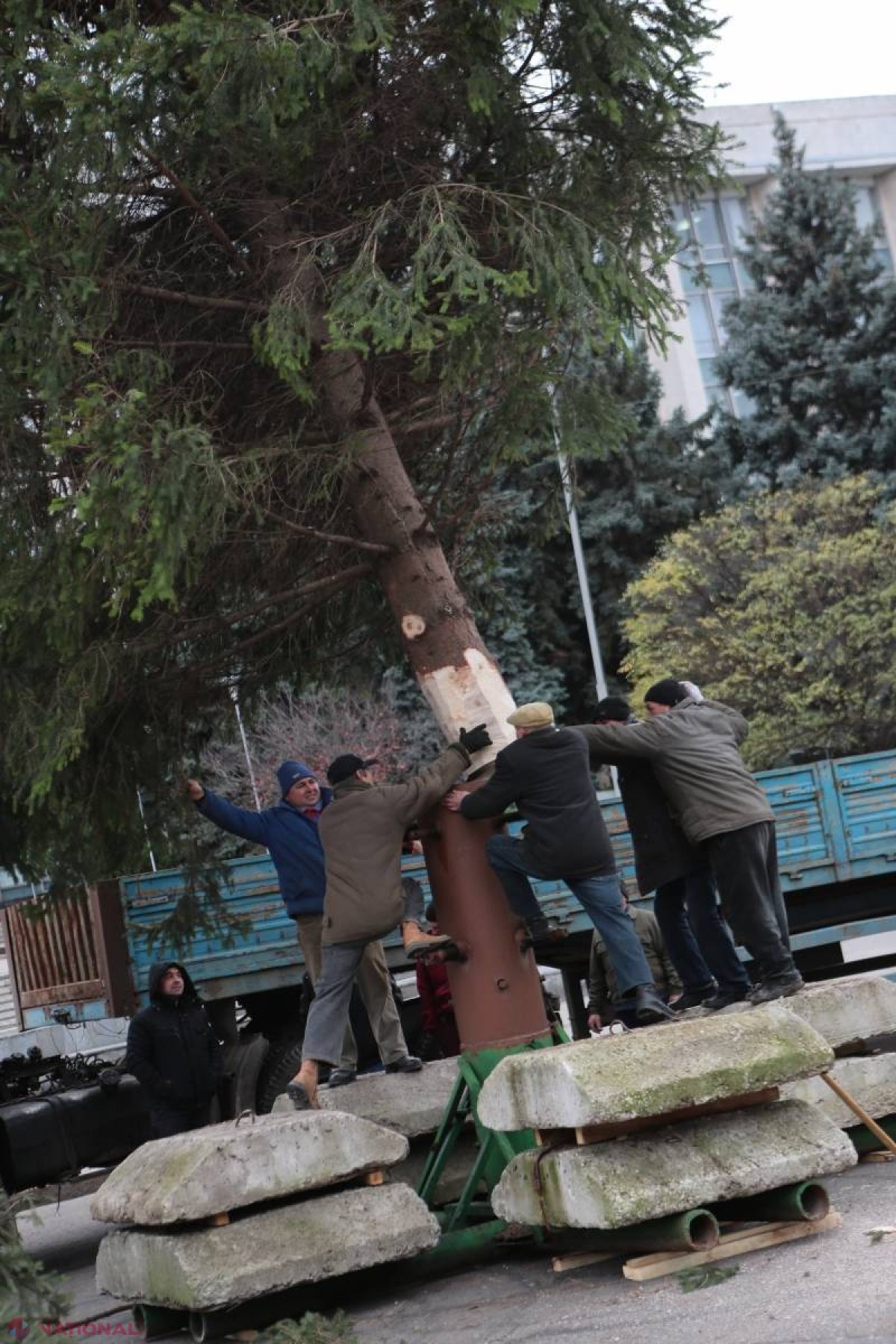 FOTO // Bradul de Crăciun a fost instalat deja în PMAN