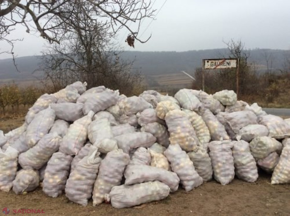 Un agricultor din Nisporeni contrazice un DEPUTAT, care i-a postat merele pe Facebook. „Nu am aruncat niciun măr, am vândut 50 de tone”