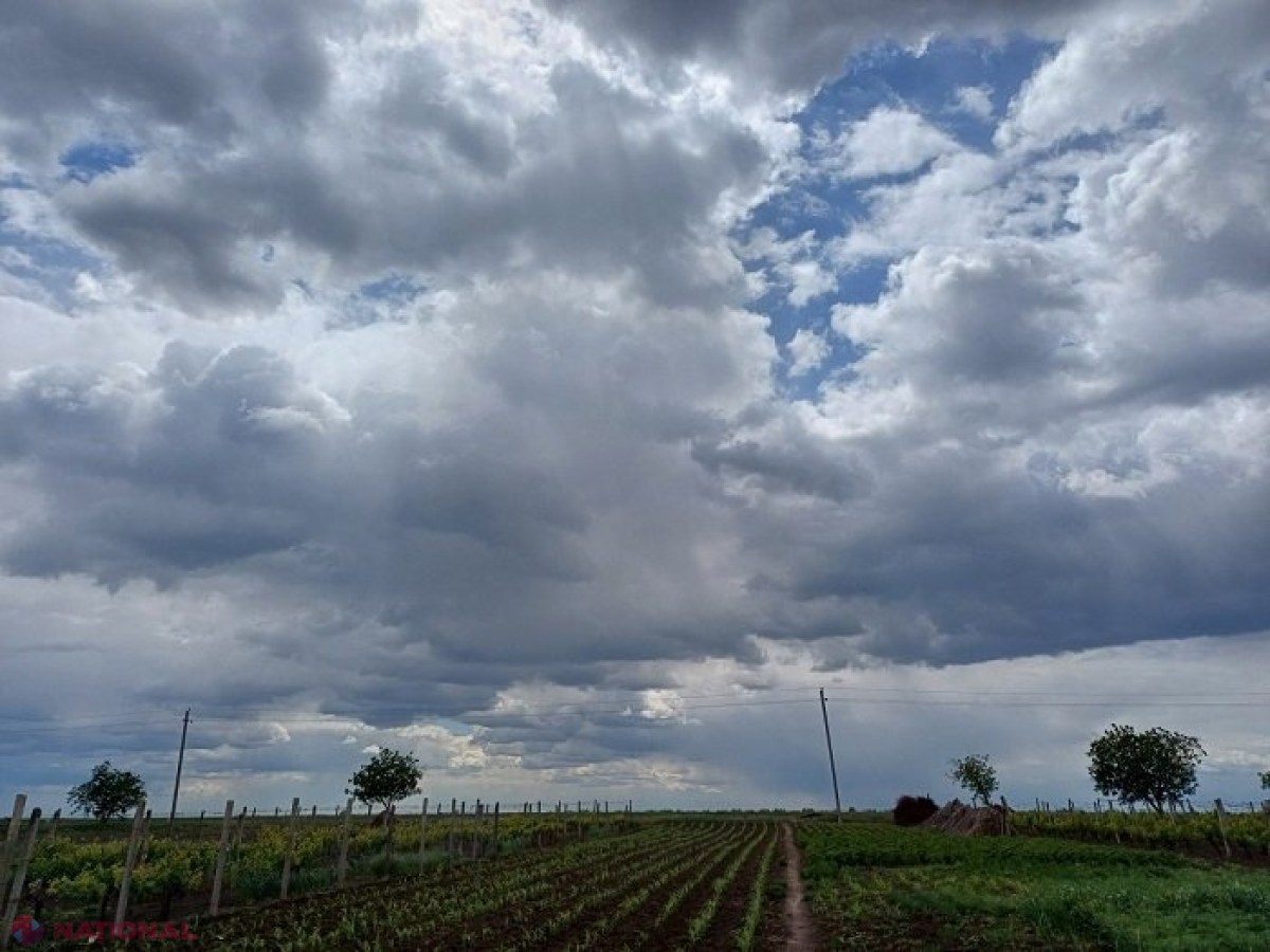 METEO // Cod galben de ploi și vânt puternic în R. Moldova: Cum va fi vremea în iunie