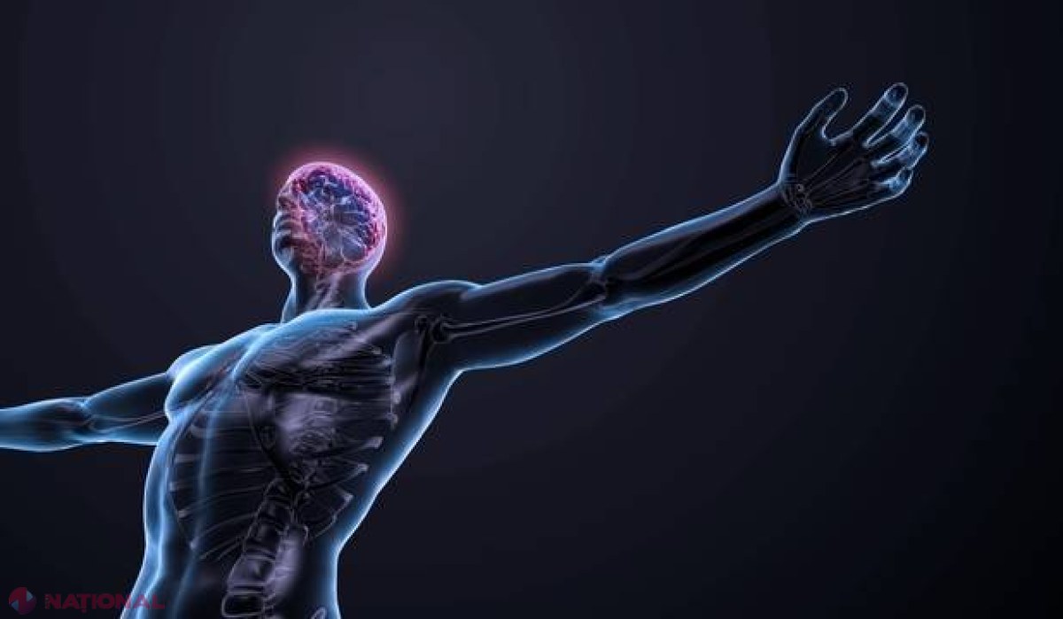 10 organe de care nu mai avem nevoie