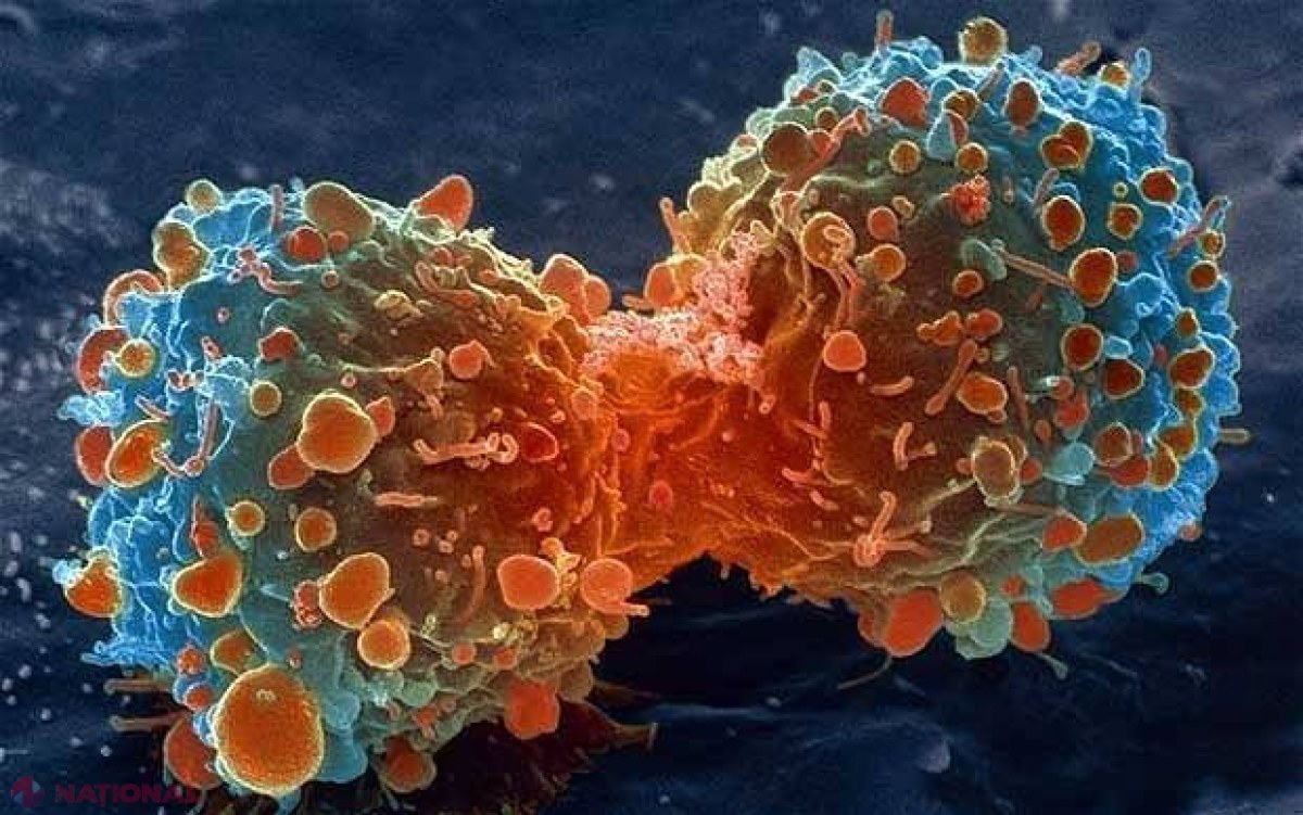 Organizația Mondială a Sănătății: vine un VAL GIGANTIC de cancer