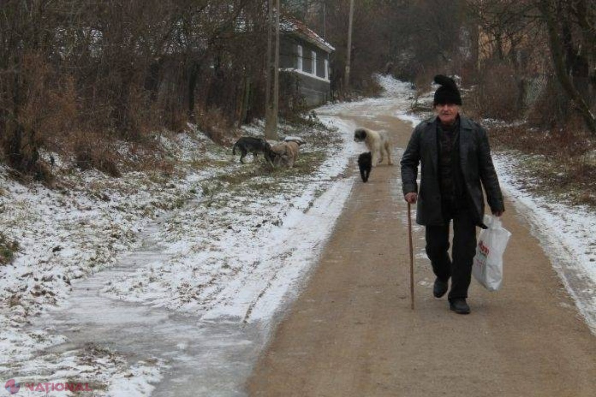 Cel mai bătrân angajat de peste Prut! În timp ce mii de oameni stau degeaba pe ajutoare sociale, un bărbat de 99 de ani lucrează cu contract de muncă