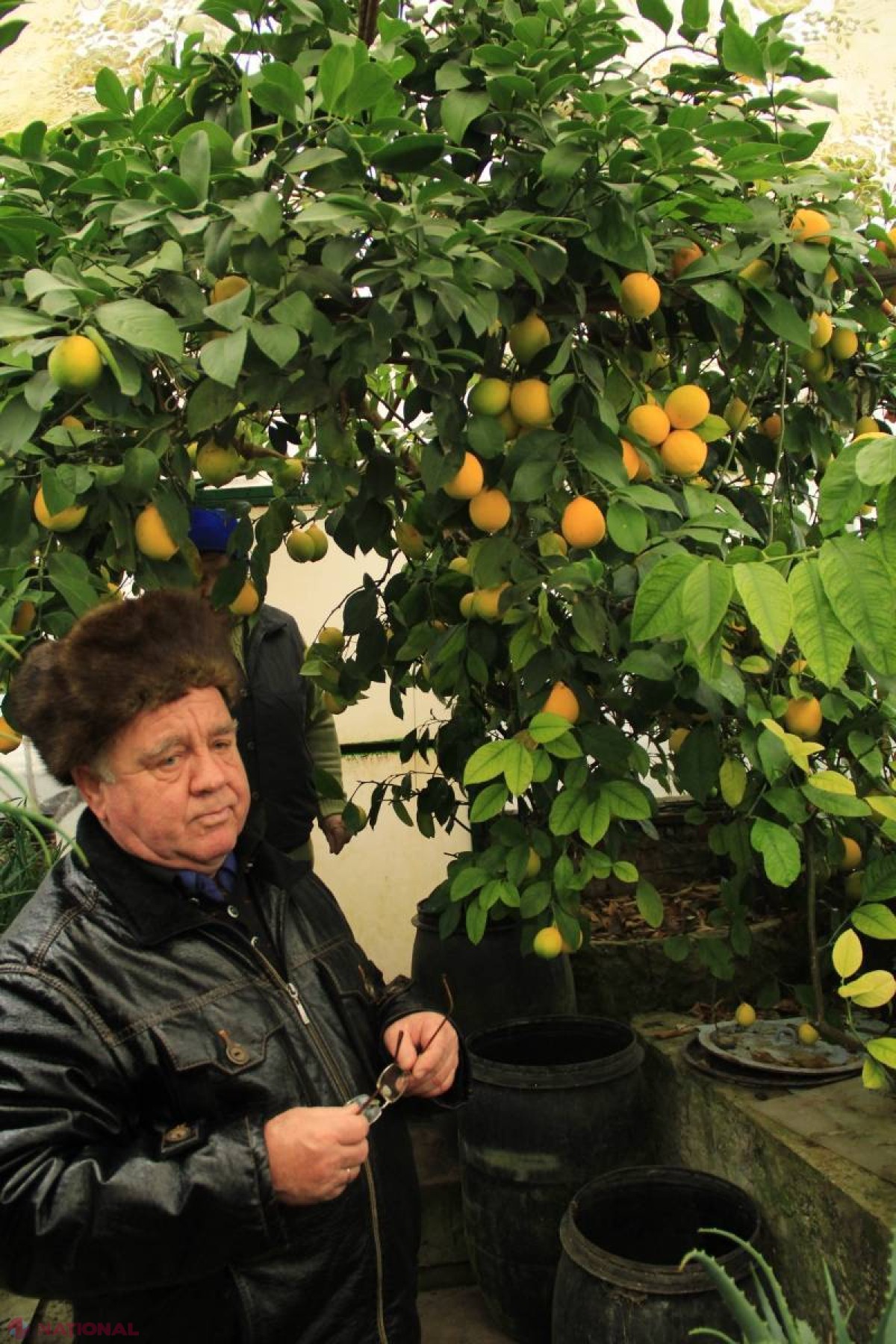 TOP NAȚIONAL 2014 //  GRĂDINA anului