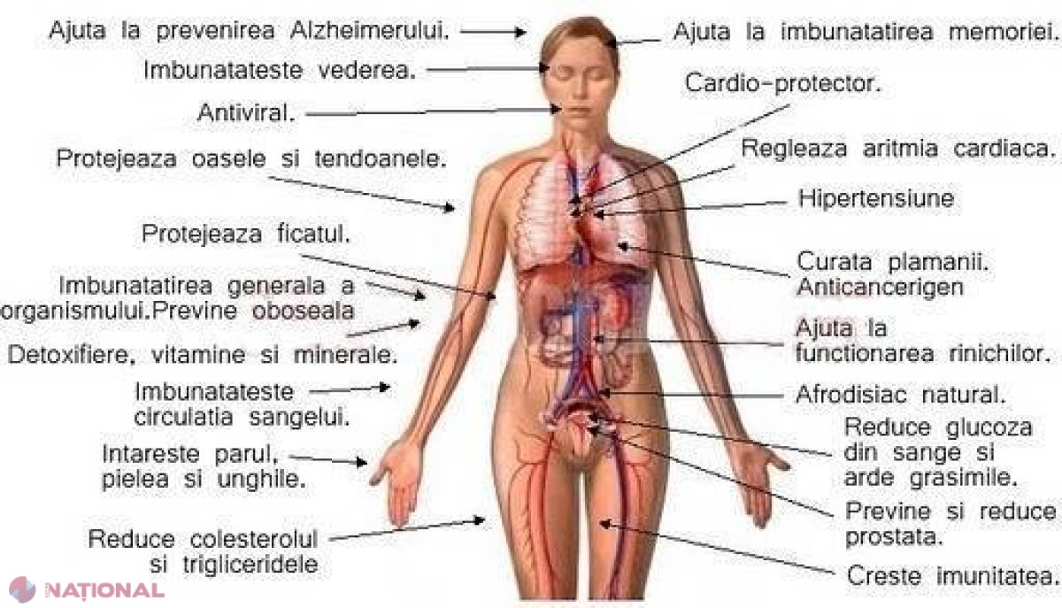 Această REȚETĂ SECRETĂ vindecă tot organismul. Iată cât de ușor se prepară