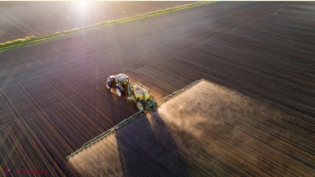 Politico: „Războiul Rece” al alimentelor între SUA și UE ar putea duce la scumpirea mâncării și chiar la foamete la nivel global