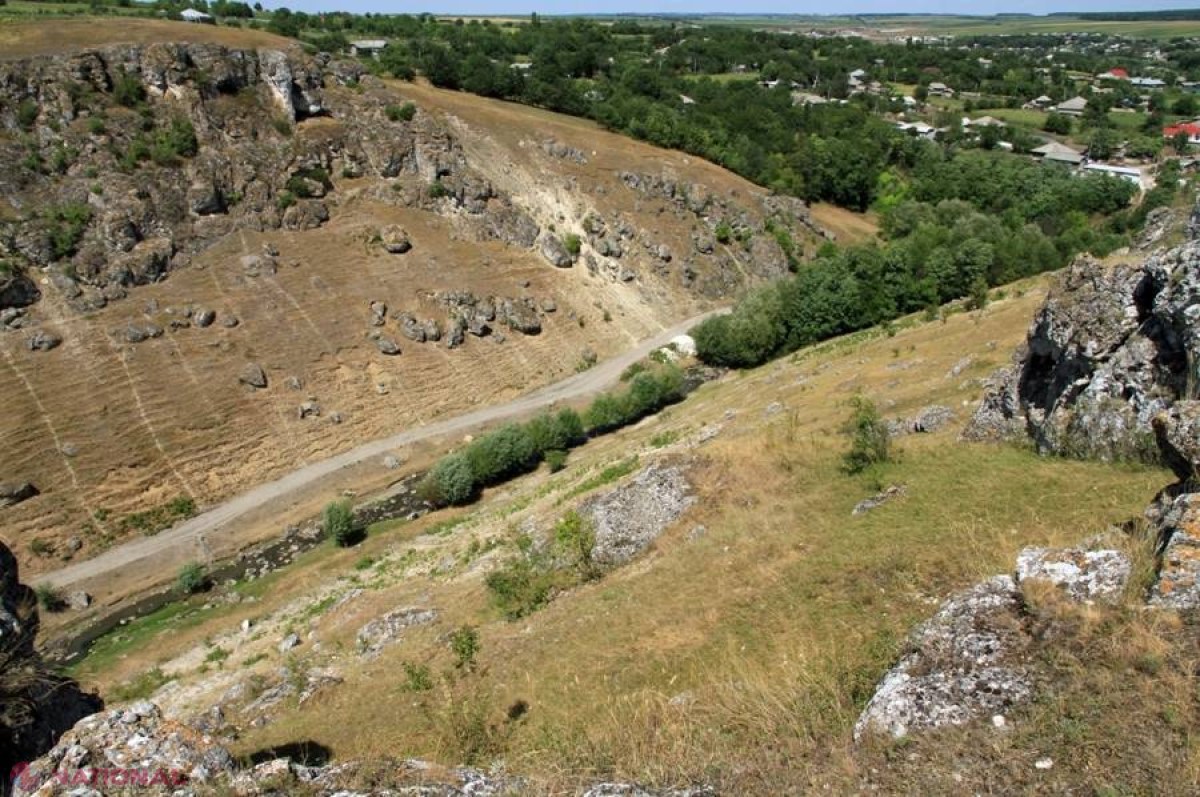 Ce se întâmplă astăzi în Pădurea Domnească?