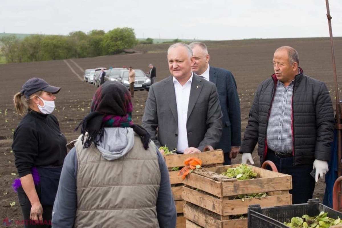 FOTO // Dodon a intrat cu „Mercedesul” până în inima unui câmp PROASPĂT ARAT, pentru ca să nu-și murdărească pantofii